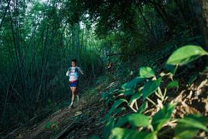 BIB: 
                            <button type="button" onclick="openModal(28124409)" class="btn btn-primary btn-sm float-right btn-popup" data-toggle="modal" data-target=".modal-high-quality">
                        <i class="fas fa-shopping-cart"></i> Add to Cart
                    </button>
                                            <button type="button" onclick="isThisMe(28124409, true)" class="btn btn-success btn-sm float-right btn-popup btn-isme hidden" data-toggle="tooltip" data-placement="bottom" title="นี่คือรูปของคุณใช่ไหม คลิกที่นี่เพื่อเอาเข้าอัลบั้ม">
                        <i class="fas fa-plus"></i> Add to album
                    </button>
                    <button type="button" onclick="isThisMe(28124409, false)" class="btn btn-warning btn-sm float-right btn-popup btn-isnotme hidden">
                        <i class="fas fa-ban"></i> Remove from album
                    </button>